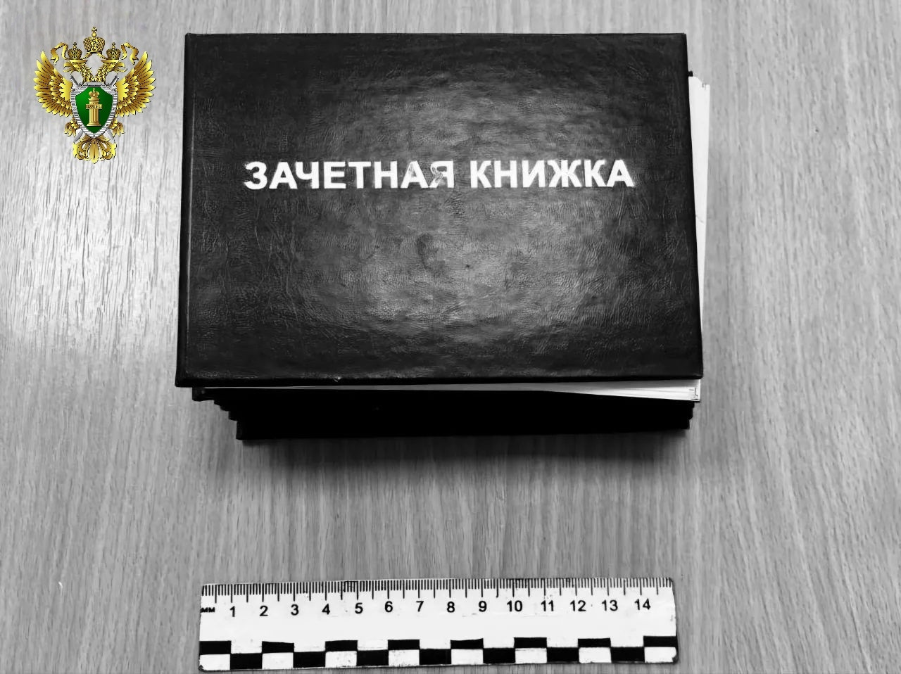 Студентов одного из техникумов на Ставрополье приговорили к колонии за взятки