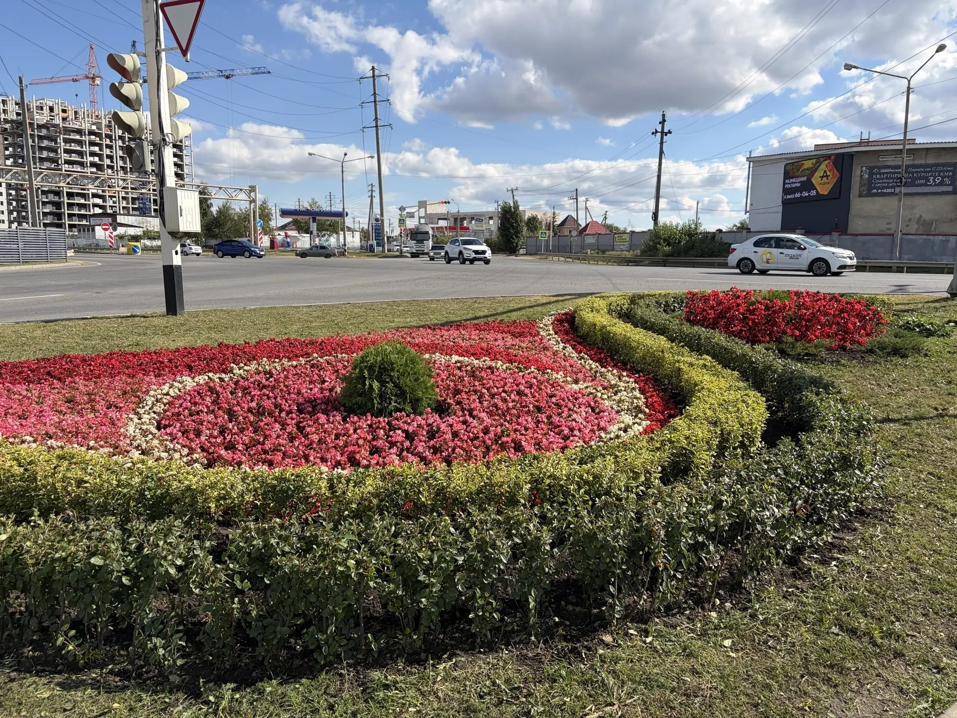 В Ставрополе высадили более 7 тысяч цветов ко Дню города