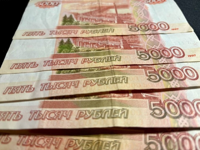 Почти 300 тыс. рублей отдала ставропольчанка за якобы замену счетчиков