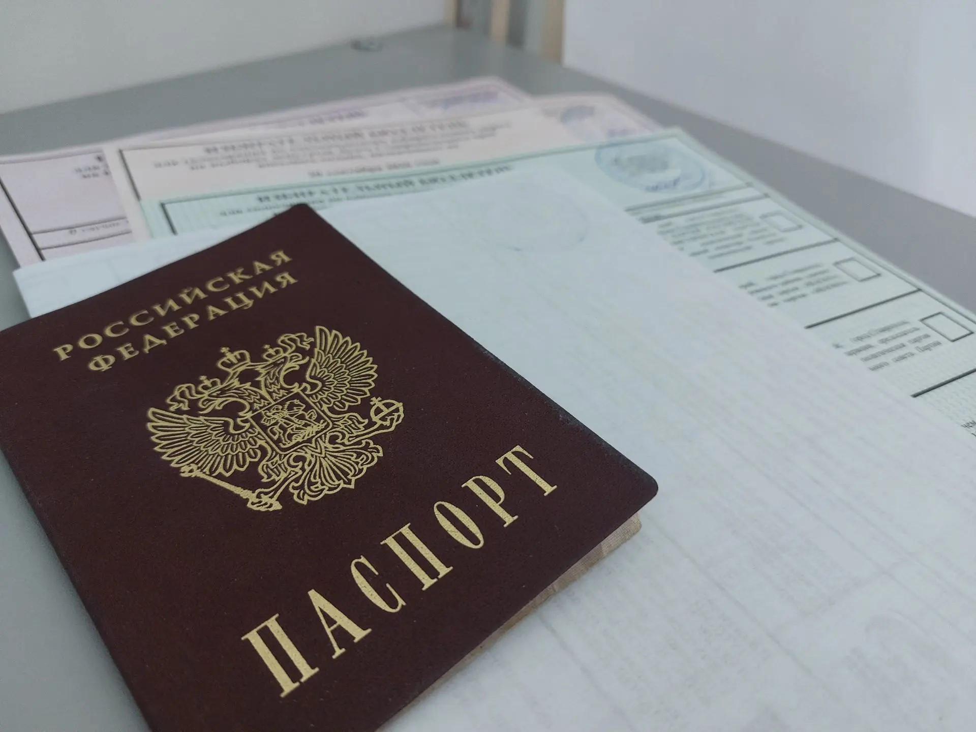 Выборы в Думу Ставрополья 2026: кто победил - результаты по одномандатным округам