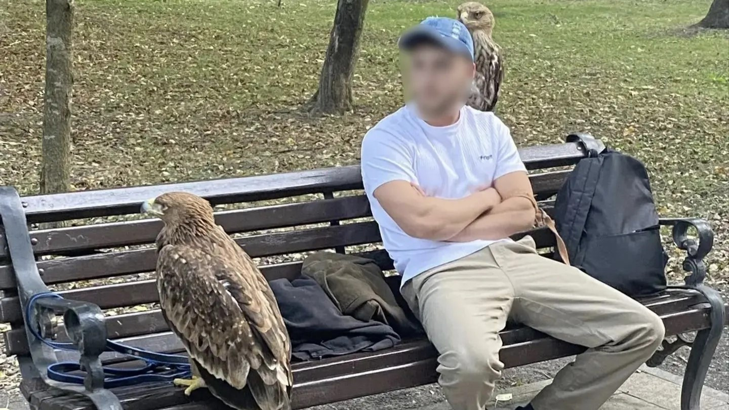 Забрали орлов и завели сразу четыре дела: в Ессентуках наказали уличных фотографов