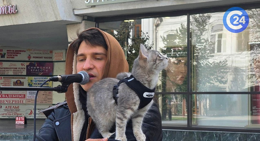 В Саратове заметили уличного музыканта с кошкой