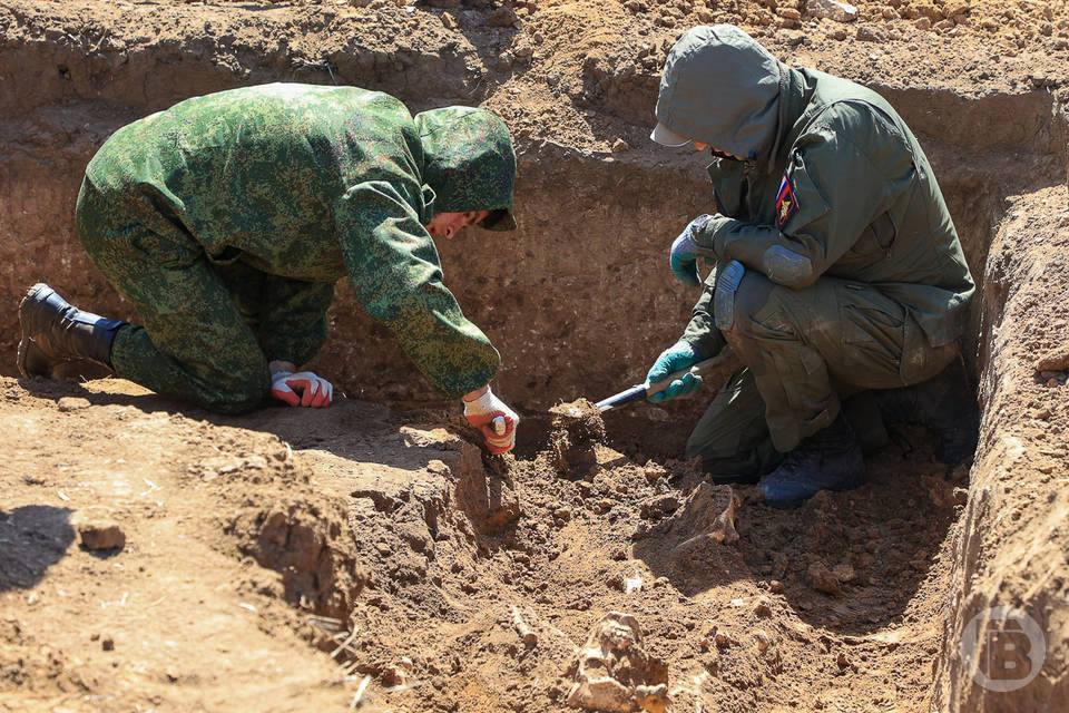 Фрагменты бомбардировщика времен ВОВ нашли в Волгоградской области