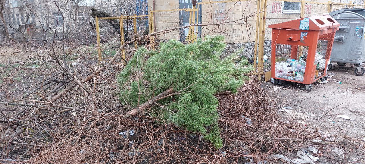 УФАС Ставрополья уличило 12 компаний в картеле на вывоз мусора