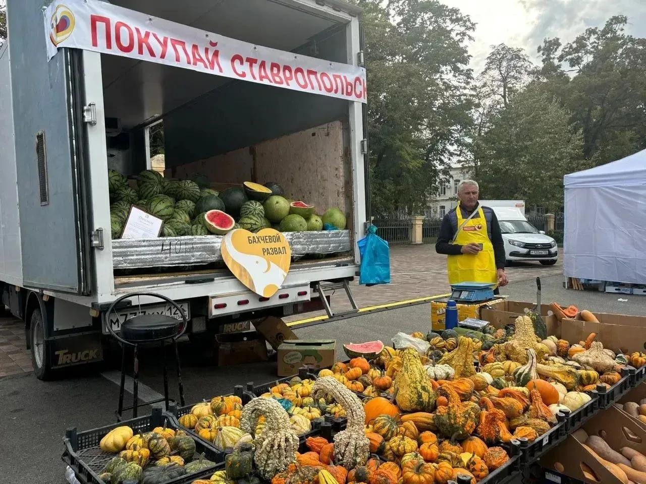 Больше 27 тыс. продуктовых ярмарок прошло на Ставрополье с начала года