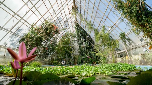 Принцессы Disney в Ботаническом саду