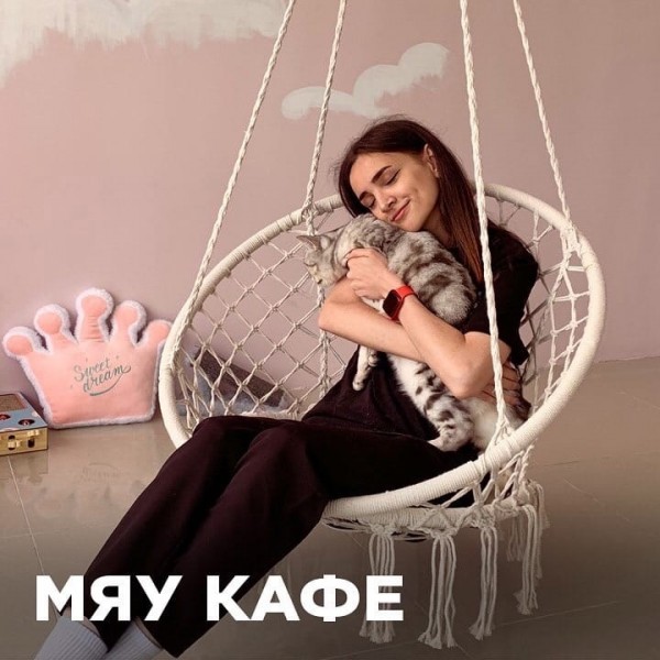 Котокафе «Общество деловых котов»