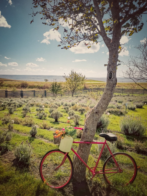 Цветочная ферма "Трава"